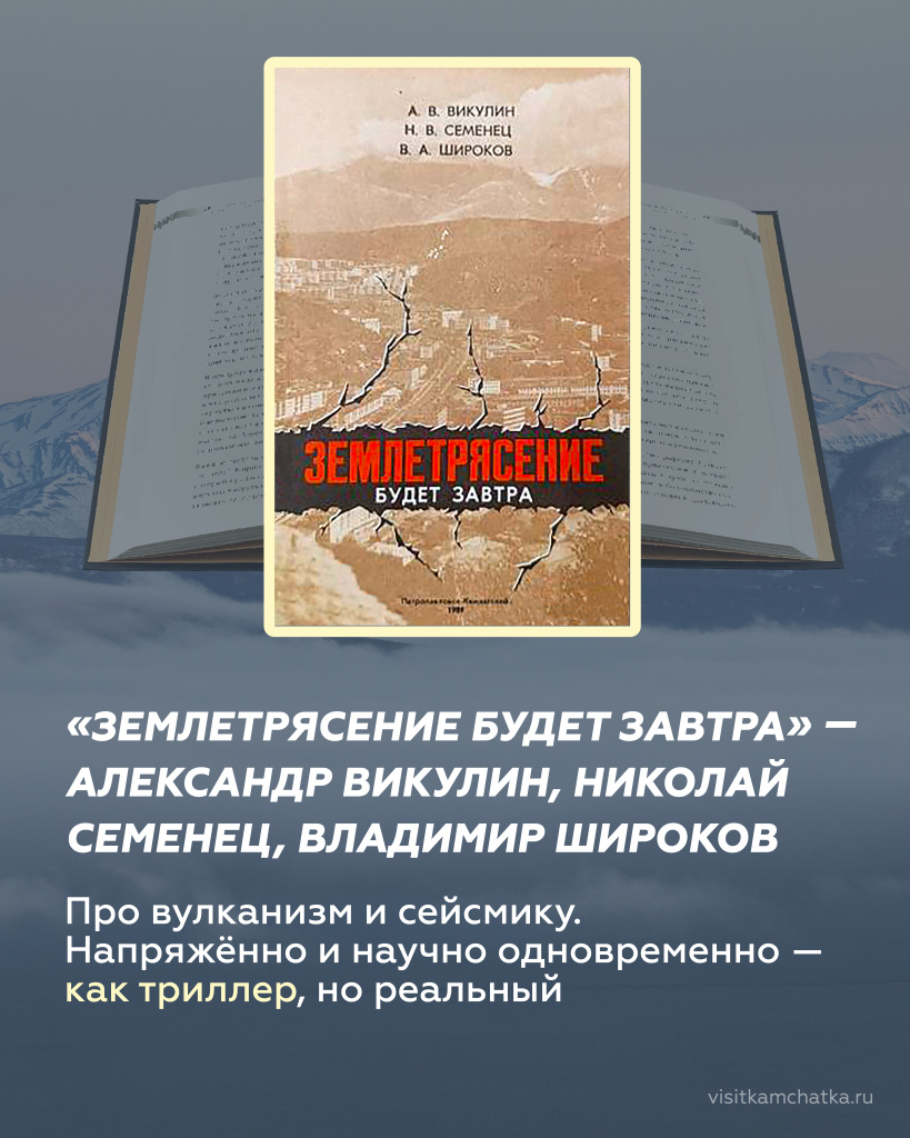землетряс_Монтажная область 1.jpg