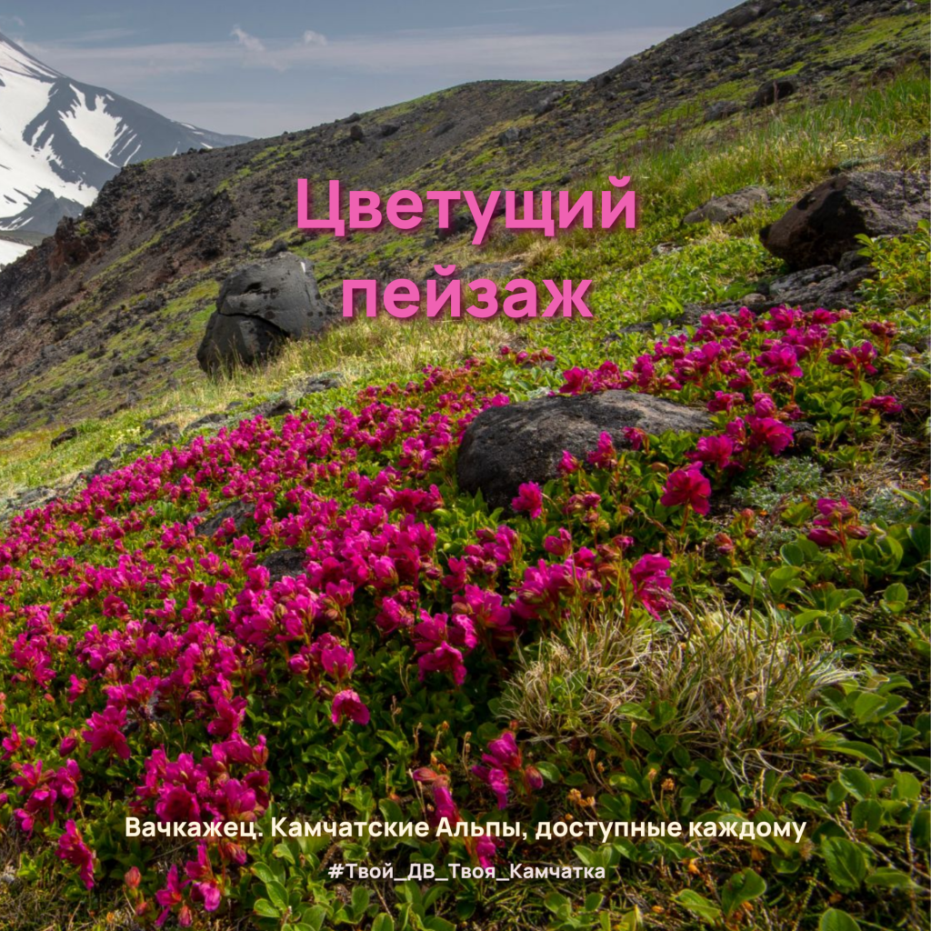 Копия Копия продлении срока приема заявок на II.png